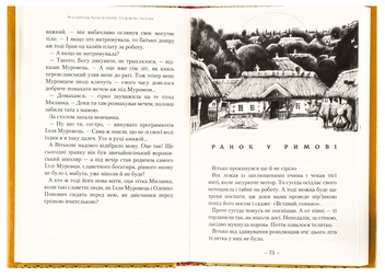 Бумажная книга «Сторожова застава», автор Владимир Рутковский - фото №6 - миниатюра