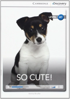 Паперова книга «So Cute! Beginning Book with Online Access», автор Кенна Бурке - фото №1 - мініатюра