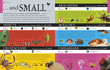 Бумажная книга «All About Biology», автор Роберт Винстон - фото №2 - миниатюра
