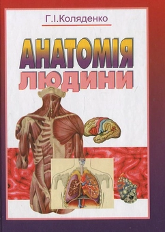 Паперова книга «Анатомія людини», автор Галина Коляденко - фото №2 - мініатюра