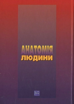 Паперова книга «Анатомія людини», автор Галина Коляденко - фото №3 - мініатюра