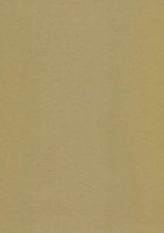 Паперова книга «Тернопільський національний економічний університет. Історія, звершення, особистості» - фото №3 - мініатюра