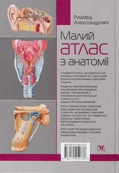 Паперова книга «Малий атлас з анатомії», автор Ришард Алєксандровіч - фото №3 - мініатюра