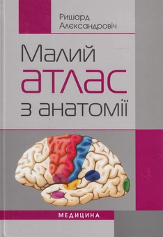 Паперова книга «Малий атлас з анатомії», автор Ришард Алєксандровіч - фото №2 - мініатюра