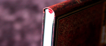  «Записная книжка Paperblanks Фольгированное тиснение линейка (PB5910)», бренда Paperblanks - фото №5 - миниатюра