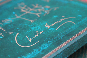  «Записная книжка Paperblanks Чарльз Дарвин Древо Жизни карманная (PB1273-3)», бренда Paperblanks - фото №4 - миниатюра