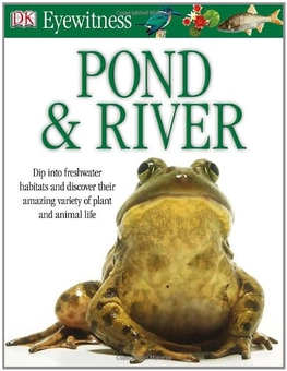 Бумажная книга «Pond & River» - фото №1 - миниатюра
