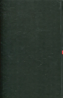 Паперова книга «Бруно Шульц. Книга образів», автор Єжи Фіцовський - фото №3 - мініатюра