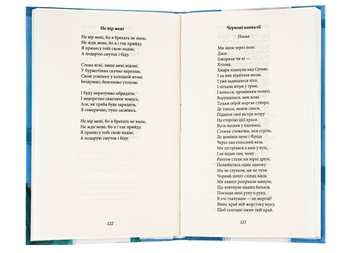Паперова книга «Тиша і грім. Поезії», автор Василь Симоненко - фото №5 - мініатюра