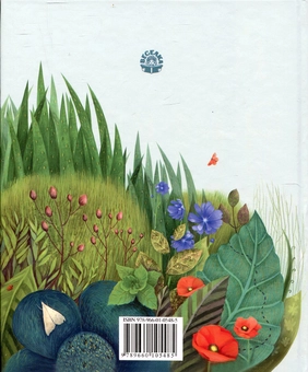 Паперова книга «Як тебе звати?», автор Женя Кулеба - фото №3 - мініатюра