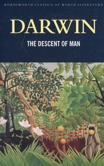 category-image