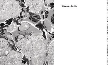 Бумажная книга «Vienna-Berlin» - фото №2 - миниатюра