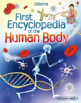 Паперова книга «First Encyclopedia of the Human Body», автор Фіона Чендлер - фото №2 - мініатюра
