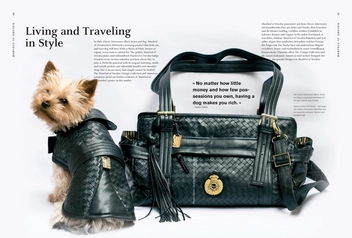 Бумажная книга «Luxurious Design for Dogs», автор Мишель Галиндо - фото №3 - миниатюра