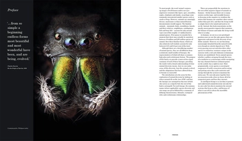 Паперова книга «Animal Earth: The Amazing Diversity of Living Forms», автор Росс Пайпер - фото №4 - мініатюра
