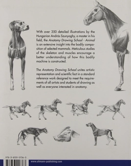 Паперова книга «Anatomy Drawing School 2: Animals», авторів Андраш Суньогі, Джорджи Фехер - фото №3 - мініатюра