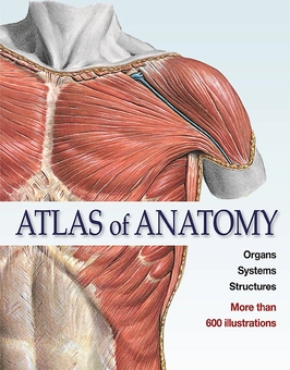 Бумажная книга «Atlas of Anatomy» - фото №2 - миниатюра