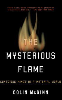 Паперова книга «The Mysterious Flame», автор Колін МакГінн - фото №1 - мініатюра