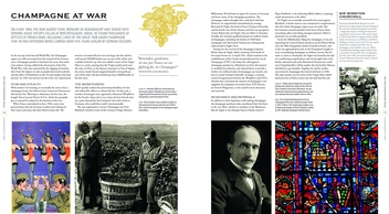Бумажная книга «The Treasures of Champagne», автор Том Брюс-Гардин - фото №2 - миниатюра