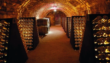 Бумажная книга «The Treasures of Champagne», автор Том Брюс-Гардин - фото №3 - миниатюра