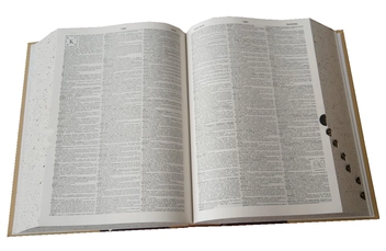 Бумажная книга «Webster's Third New International Dictionary» - фото №7 - миниатюра