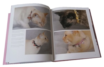 Бумажная книга «Luxury for Cats», автор Патриция Фарами - фото №6 - миниатюра