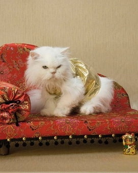 Бумажная книга «Luxury for Cats», автор Патриция Фарами - фото №8 - миниатюра