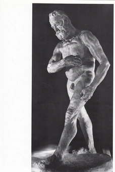 Паперова книга «Rodin», автор Людвіг Голдшайдер - фото №6 - мініатюра