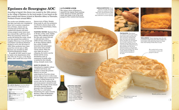 Бумажная книга «World Cheese Book» - фото №2 - миниатюра