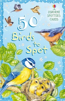 Бумажная книга «50 Birds to Spot» - фото №2 - миниатюра