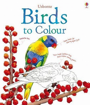 Бумажная книга «Birds to Colour», автор Меган Куллис - фото №1 - миниатюра