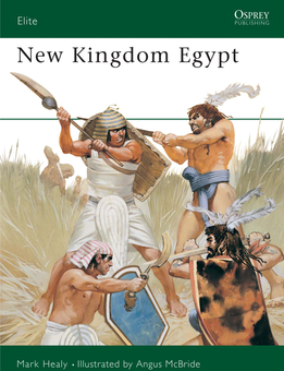 Бумажная книга «New Kingdom Egypt», автор Марк Хили - фото №2 - миниатюра