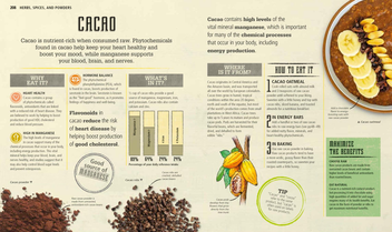 Бумажная книга «Super Clean Super Foods», авторов Кэролайн Бретертон, Фиона Хантер - фото №3 - миниатюра