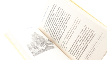 Бумажная книга «Перемагати українською. Про мову ненависті й любові», автор Ольга Дубчак - фото №4 - миниатюра