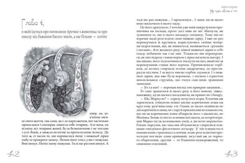 Бумажная книга «Межник, або Всесвітнє Свавілля. Частина 1. На грані світла й тіні», автор Александр Денисенко - фото №6 - миниатюра