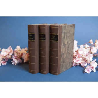 Бумажная книга «Pride and Prejudice. A Novel in Three Volumes», автор Джейн Остин - фото №5 - миниатюра