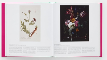 Бумажная книга «Butterfly: Exploring the World of Lepidoptera», автор Редакторы "Phaidon" - фото №9 - миниатюра