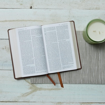 Бумажная книга «NRSV Catholic Edition Gift Bible», автор Католическое библейское издательство - фото №6 - миниатюра