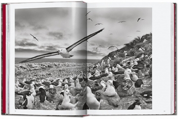 Бумажная книга «Sebastião Salgado. Genesis. 45th Ed.» - фото №5 - миниатюра
