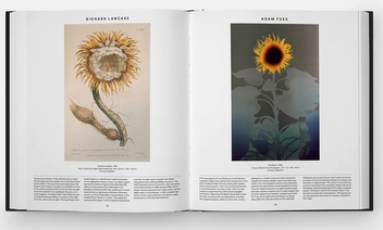 Бумажная книга «Plant: Exploring the Botanical World», автор Редакторы "Phaidon" - фото №5 - миниатюра