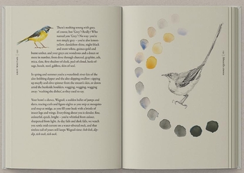Бумажная книга «The Book of Birds: A Field Guide to Wonder and Loss», авторов Джеки Моррис, Роберт Макфарлейн - фото №5 - миниатюра