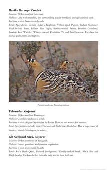 Паперова книга «Birds of Northern India», авторів Річард Ґріммет, Тім Інскіпп - фото №5 - мініатюра