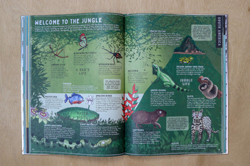 Бумажная книга «I Heart the World. A Celebration of Land, Sea, Flora, Fauna and People around the Globe», автор Таня МакКартни - фото №6 - миниатюра