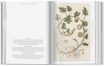 Paper book «Leonhart Fuchs: The New Herbal», author Werner Dressendörfer - фото №5 - миниатюра