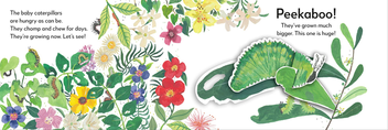 Паперова книга «Pop-Up Peekaboo! Butterfly» - фото №6 - мініатюра