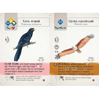  «Настільна гра Ігромаг Крила: Птахи Азії (Wingspan Asia) (850032180078)», бренда Игромаг - фото №4 - миниатюра
