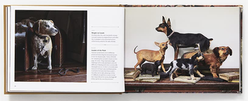 Бумажная книга «Best Friends Forever. The Greatest Collection of Taxidermy Dogs on Earth», автор Джей Ди Пауэр - фото №5 - миниатюра