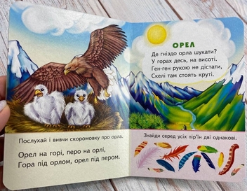 Бумажная книга «Хто де живе. Цікаве для найменших» - фото №4 - миниатюра