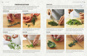 Бумажная книга «The Herb Garden for Cooks», автор Джефф Кокс - фото №2 - миниатюра