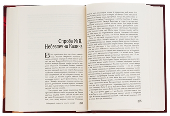 Бумажная книга «Найкращий сищик та помста імперії. Книга 6», автор Владислав Ивченко - фото №5 - миниатюра